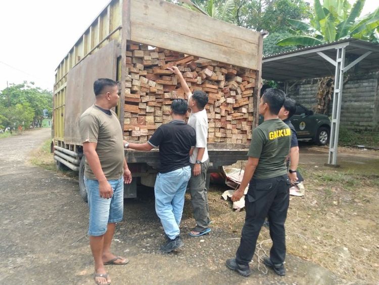 Kemenhut Amankan Truk Kayu Diduga dari TN Bukit Tigapuluh, Penyidik Telusuri Pemasok Hingga Penerima